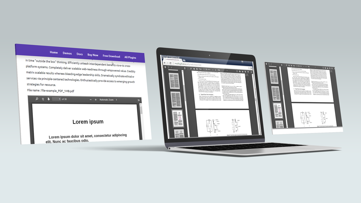PDF Embedder demo
