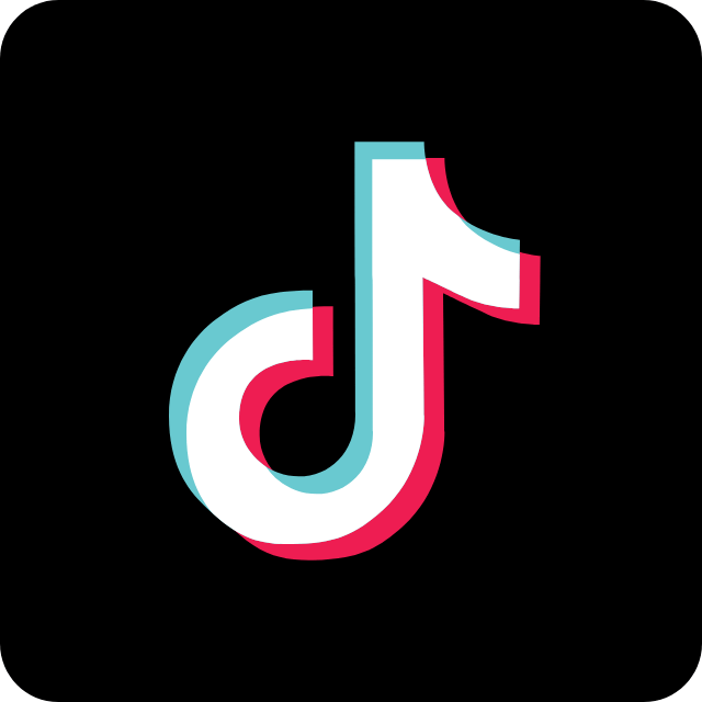Tiktok Feed