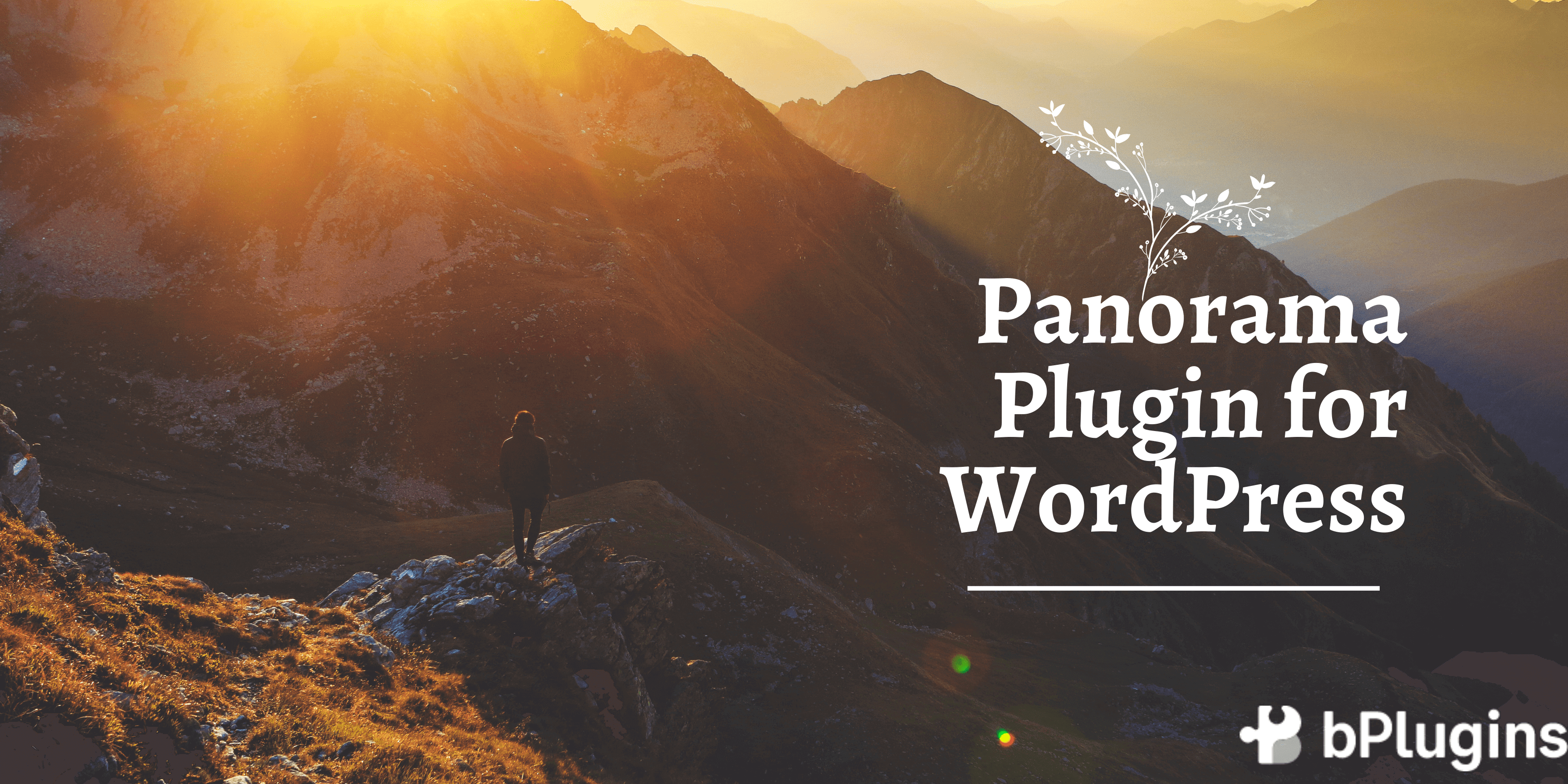panorama plugin for WordPress