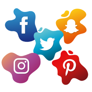 My Social Feeds